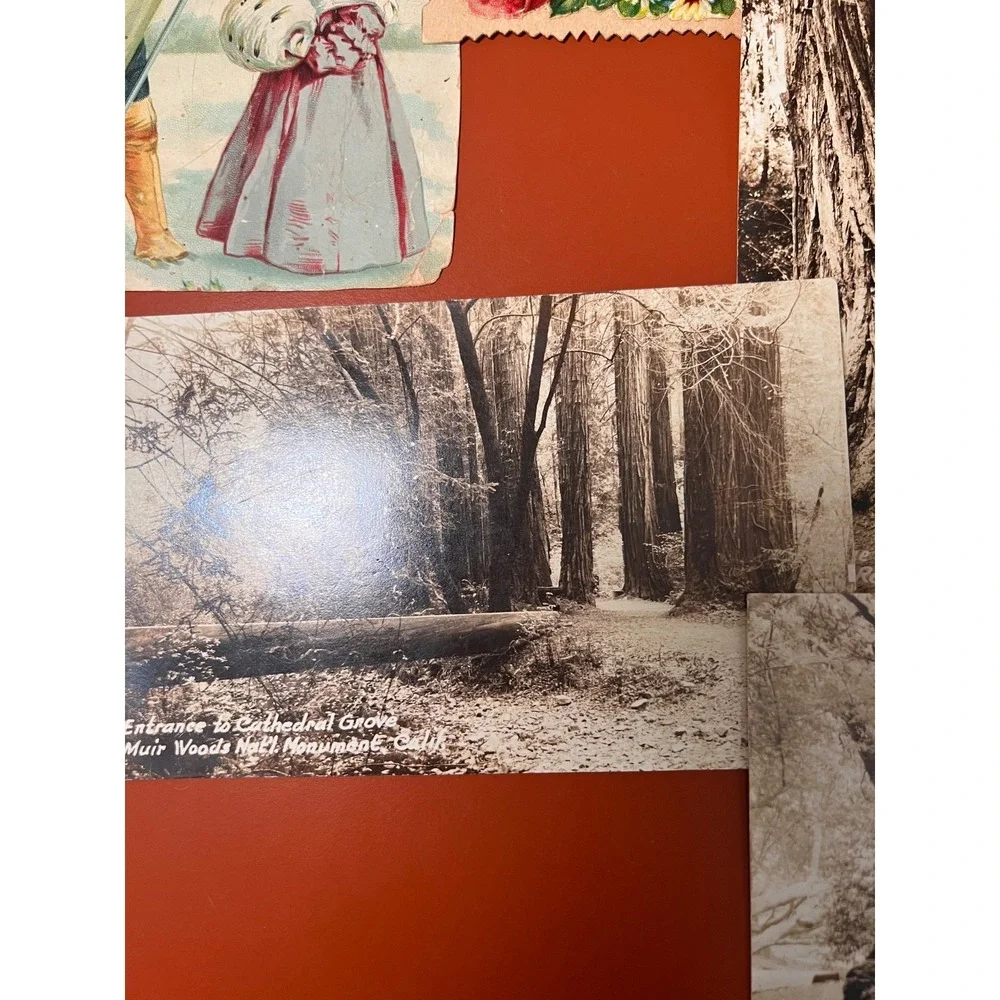 Lot Of 13 Antique/Vintage Embossed Floral Children Places Postcards Early 1900's